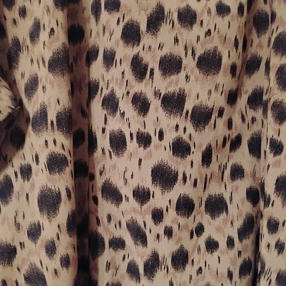 Leopard Print Maxi Dress - Picture 8 of 8